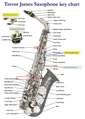 TJ Sax Key Chart.jpg