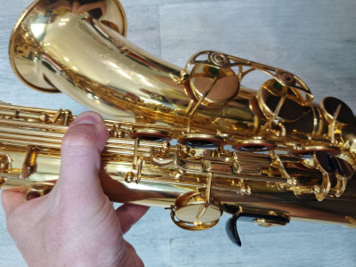 c1_20260513_17323100.jpeg
