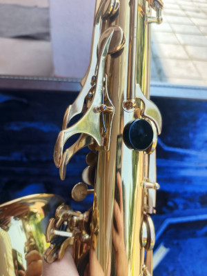 c1_20260715_17372587.jpeg