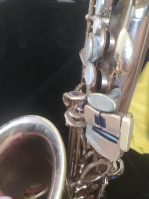 c1_20260916_10233833.jpeg