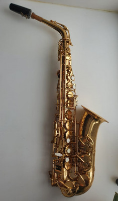 WhatsApp Image 2021-11-13 at 12.32.19.jpeg