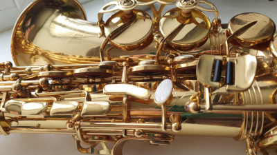 WhatsApp Image 2021-11-13 at 12.38.23.jpeg