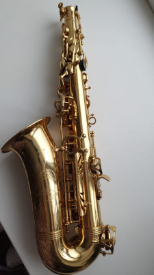 WhatsApp Image 2021-11-13 at 12.43.34.jpeg