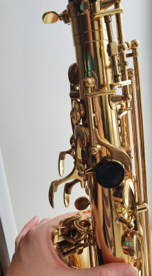 WhatsApp Image 2021-11-13 at 12.45.31.jpeg