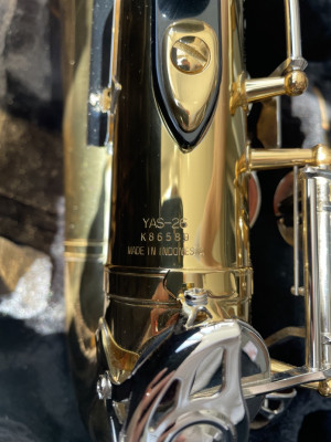 IMG_1293 Крупный.jpeg