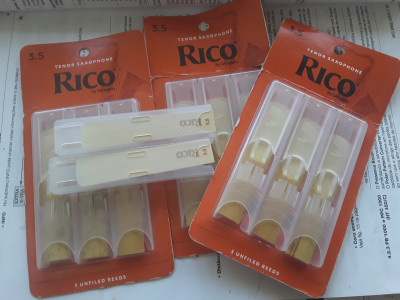 20221003_151227 (1).jpg